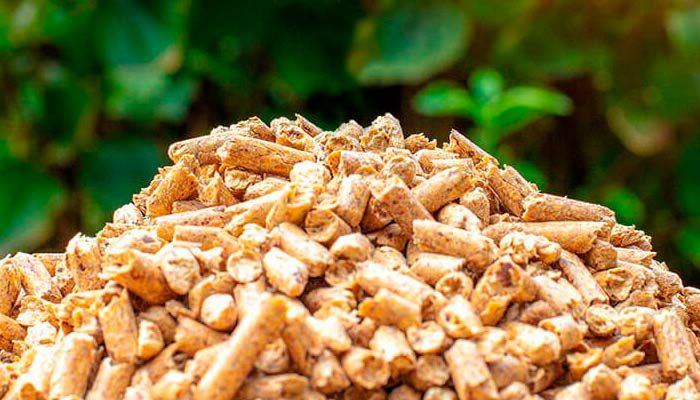 Biomasa Térmica Nebrisol